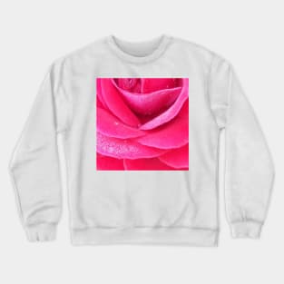 Dew on pink rose petals macro Crewneck Sweatshirt